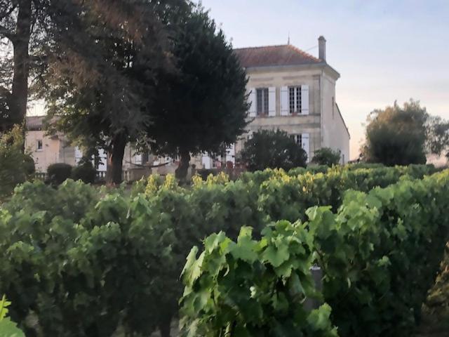 Chateau Couchebout Bed and Breakfast Pugnac Exterior foto